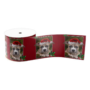 Kerstpincl-puppy 3-inch Grosgrain Grosgrain Lint