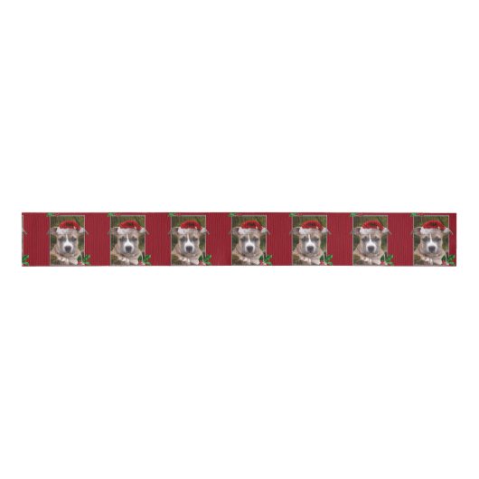 Kerstpincl-puppy 3-inch Grosgrain Lint (Voorkant)