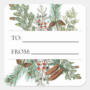 Kerstpine Conifer Forest Festive Evergreen Vierkante Sticker