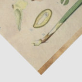 Kerstpine-ontkoppelingstok Tissuepapier (Detail)