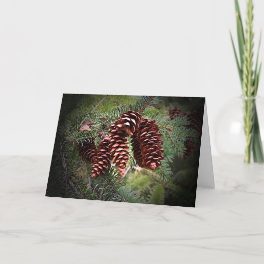 kerstPinecone Arrangement Feestdagen Kaart (Voorkant)