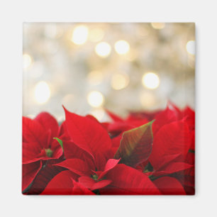 Kerstpoinsettia Magneet