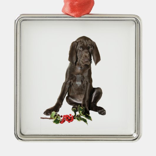 kerstpointer Puppy Metalen Ornament (Voorkant)