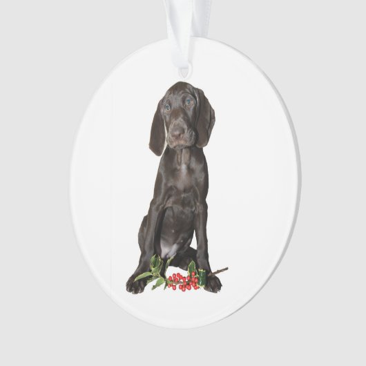 Kerstpointer zuster Puppy Ornament (voorkant)