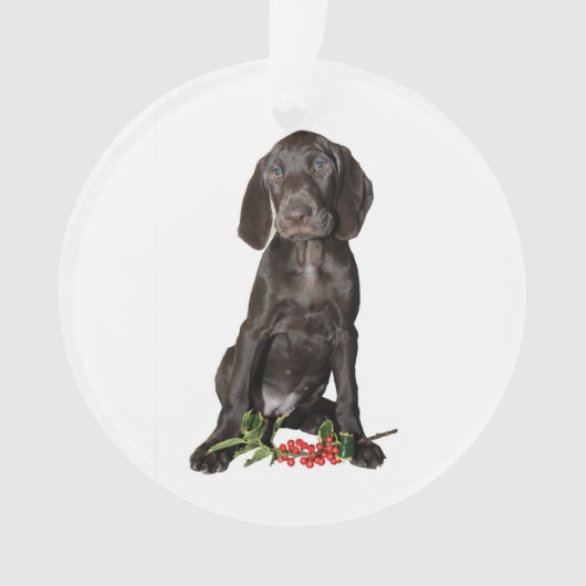 Kerstpointer zuster Puppy Ornament (voorkant)