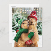 Kerstprariehonden Uitnodiging Briefkaart (Voorkant / Achterkant)