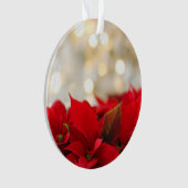 Kerstpuntbloem Ornament (voorkant)