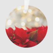 Kerstpuntbloem Ornament (voorkant)