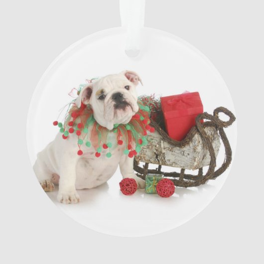 kerstpuppy: Engelse bulledog Puppy Sitting Ornament (achterkant)