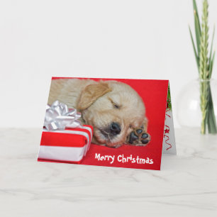Kerstpuppy Golden Retriever Feestdagen Kaart