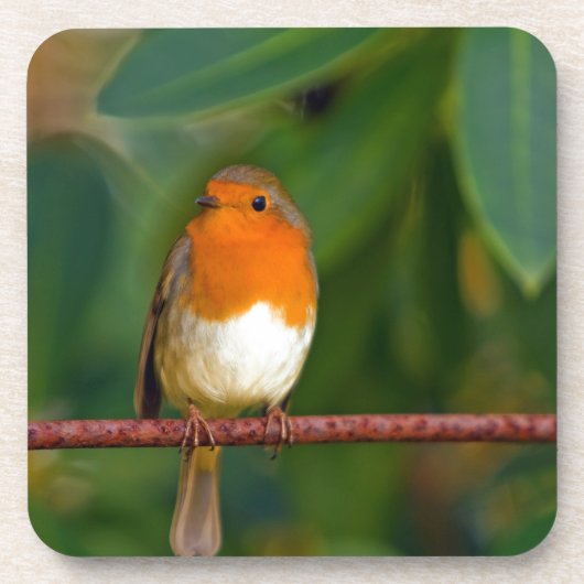 KerstRobin Bier Onderzetter (Voorkant)