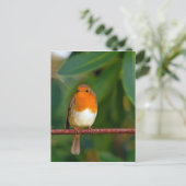 KerstRobin Feestdagenkaart (Staand voorkant)