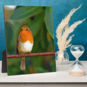 KerstRobin Fotoplaat (Zijkant)