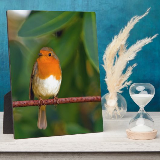 KerstRobin Fotoplaat (Zijkant)