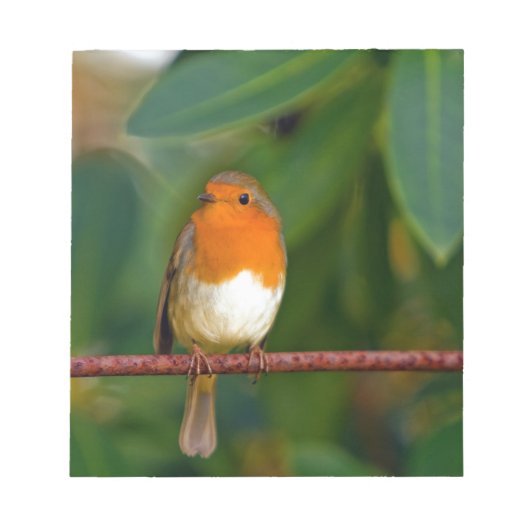 KerstRobin Notitieblok (Voorkant)