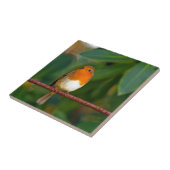 KerstRobin Tegeltje (Zijkant)