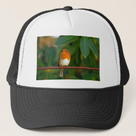 KerstRobin Trucker Pet