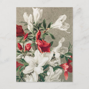 Kerstrode en witte appelbloemen feestdagenkaart