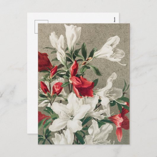 Kerstrode en witte appelbloemen feestdagenkaart (Voorkant / Achterkant)