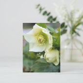 KerstRoos [Briefkaart] Briefkaart (Staand voorkant)