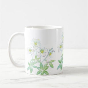 Kerstroos, Helleborus niger Koffiemok
