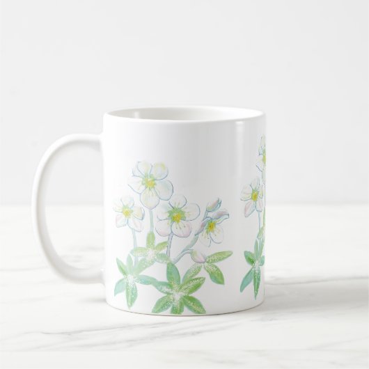 Kerstroos, Helleborus niger Koffiemok (Links)