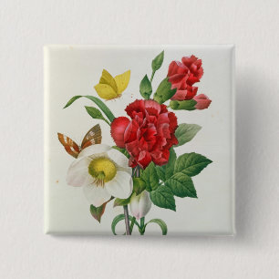 KerstRoos, Helleborus niger Vierkante Button 5,1 Cm