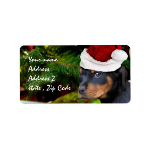 Kerstrottweiler Etiket