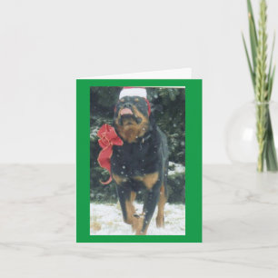 kerstrottweiler met santa hat scarnet in sneeuw kaart
