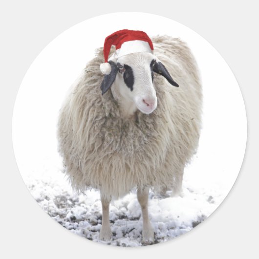 KERSTSCHAAP ENVELOP SEAL ROND STICKER (Voorkant)