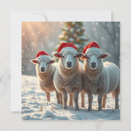 Kerstschapen Feestdagenkaart