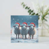 Kerstschapen Feestdagenkaart (Staand voorkant)