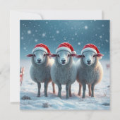 Kerstschapen Feestdagenkaart (Voorkant)