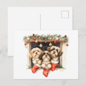 Kerstsjiih Tzu Dogs Briefkaart (Voorkant / Achterkant)