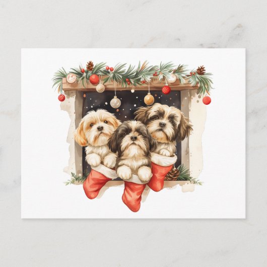 Kerstsjiih Tzu Dogs Briefkaart (Voorkant)