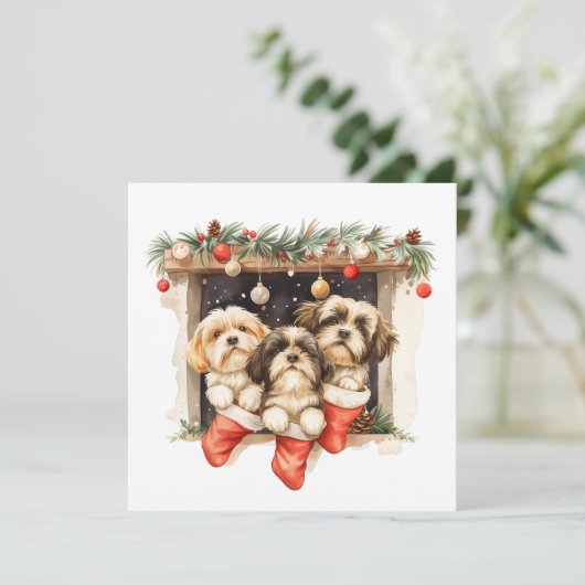 Kerstsjiih Tzu Dogs Feestdagenkaart (Staand voorkant)