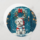 Kerstsjiih Tzu Dogs Feestdagenkaart (Voorkant / Achterkant)