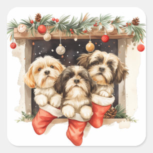 Kerstsjiih Tzu Dogs Vierkante Sticker