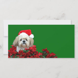 Kerstsjiih Tzu Feestdagenkaart