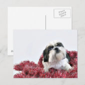 Kerstsjiih Tzu Feestdagenkaart (Voorkant / Achterkant)