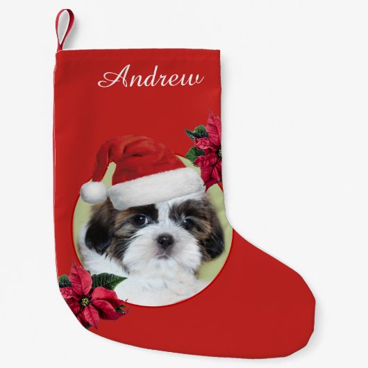 Kerstsjiitische Tzu-hond gepersonaliseerd in het u Kleine Kerstsok (Voorkant)