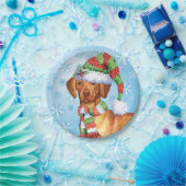 Kerstsla Papieren Bordje (Feest)