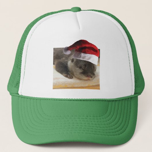 Kerstslaapstand Otter Trucker Pet (Voorkant)
