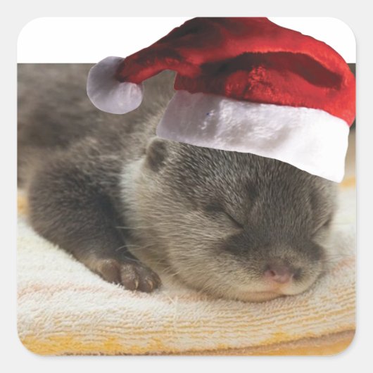 Kerstslaapstand Otter Vierkante Sticker (Voorkant)