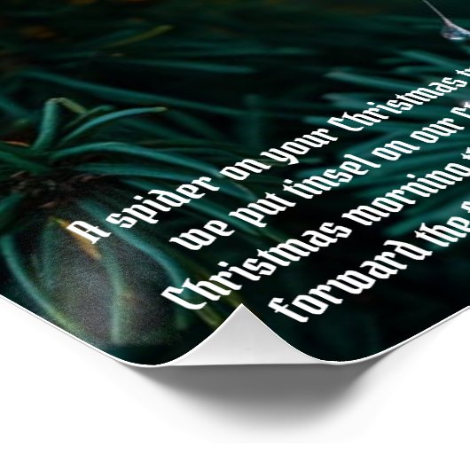 kerstspin perfect poster (Hoek)