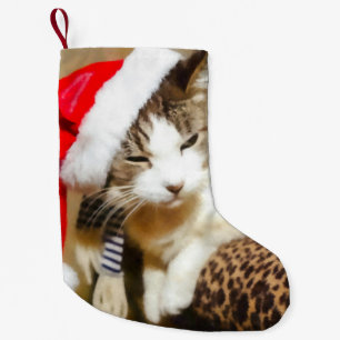kerststaart voor kerstkerstmis in het Kat Kleine Kerstsok