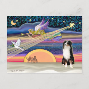 Kerstster - Australian Shepherd (Tri) Feestdagenkaart