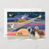 Kerstster - Bearded Collies (twee) Feestdagenkaart (Voorkant / Achterkant)