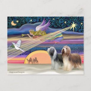 Kerstster - Bearded Collies (twee) Feestdagenkaart