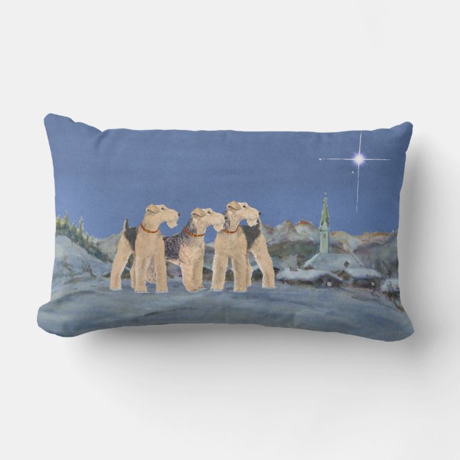 kerstster kussen (Voorkant)